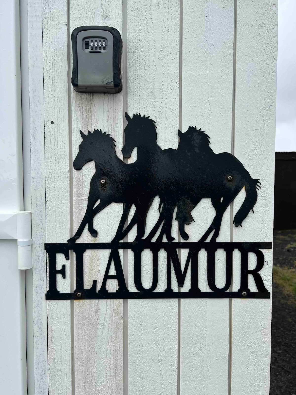 Sólvang Icelandic Horse Center - Flaumur 1