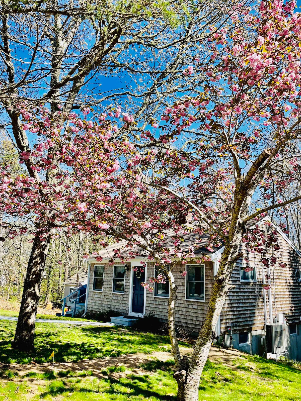 Bayside Eastham Apartment