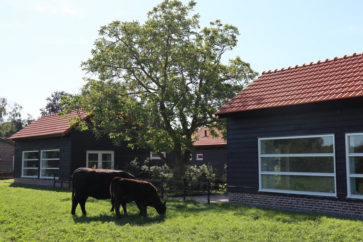 Puur Genieten: Vakantiehuis de Kippen op Stok