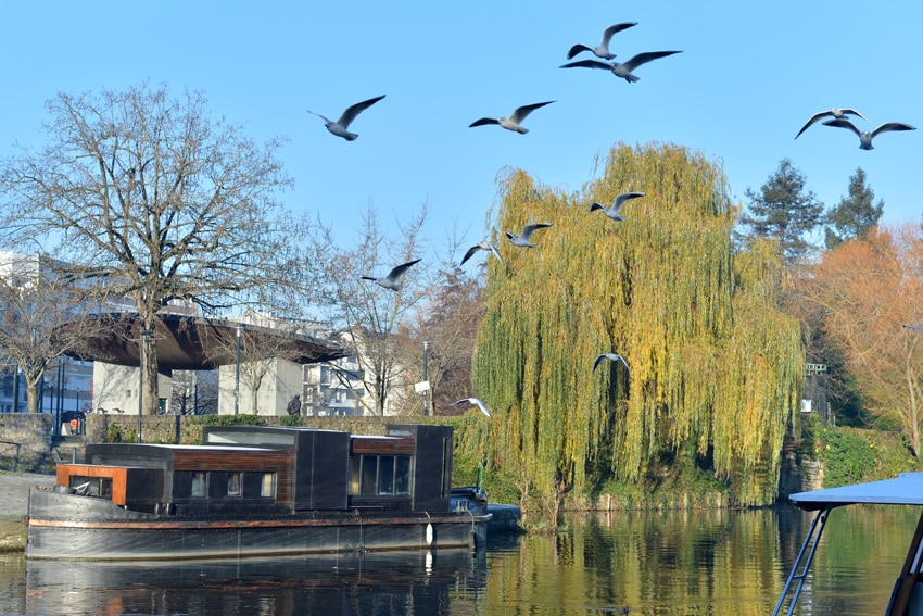 Péniche Contemporary Centre Ville