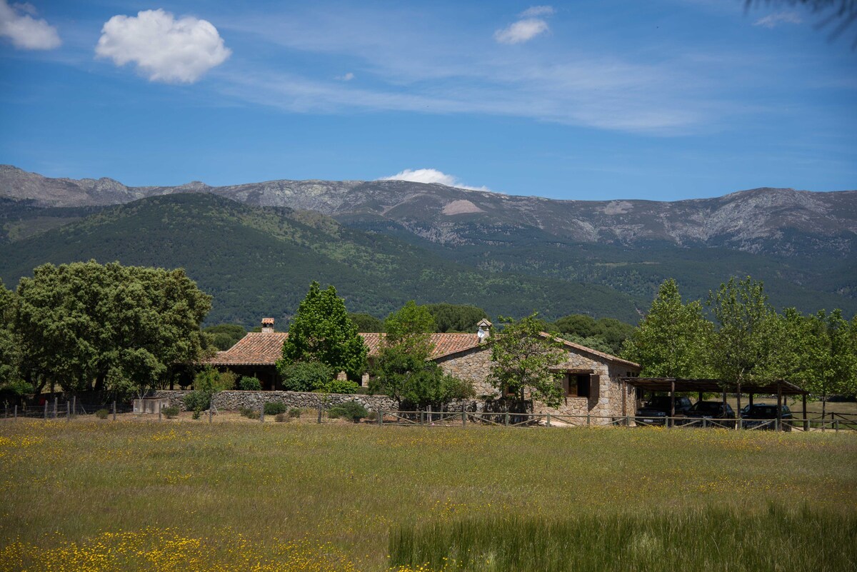 Finca la Boga del Tiétar - La Adrada - Ávila