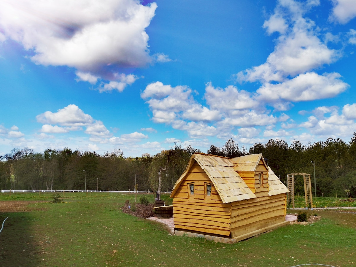 robinson 's Cabane