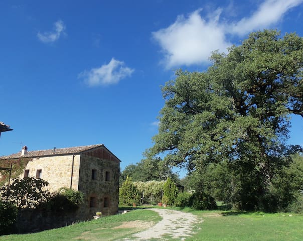 Montalto, Castelnuovo Berardenga的民宿