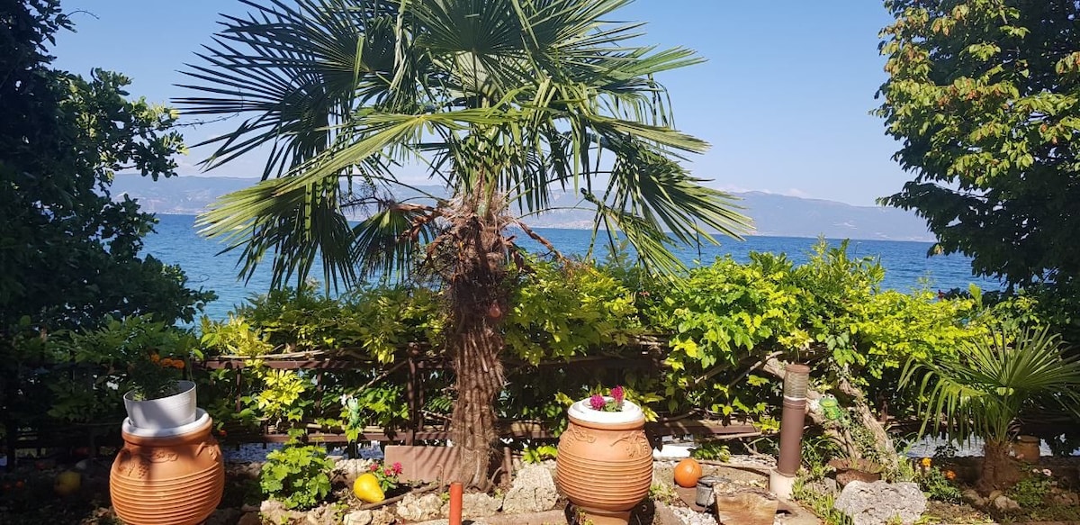 Filip House Trpejca, Ohrid SR Macedonia