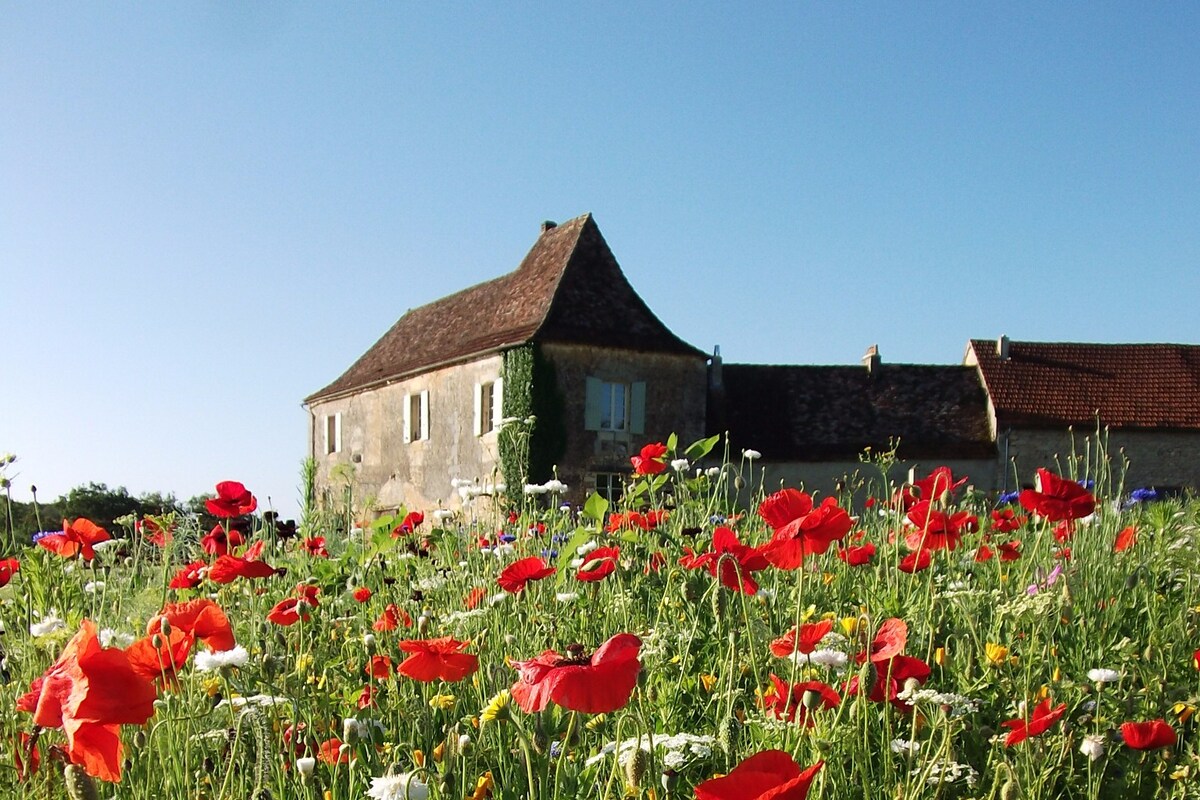 Beautiful Manoir , pool , farm animals , paradise