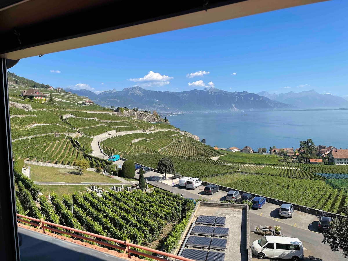 Geneva - Nice place in Lavaux