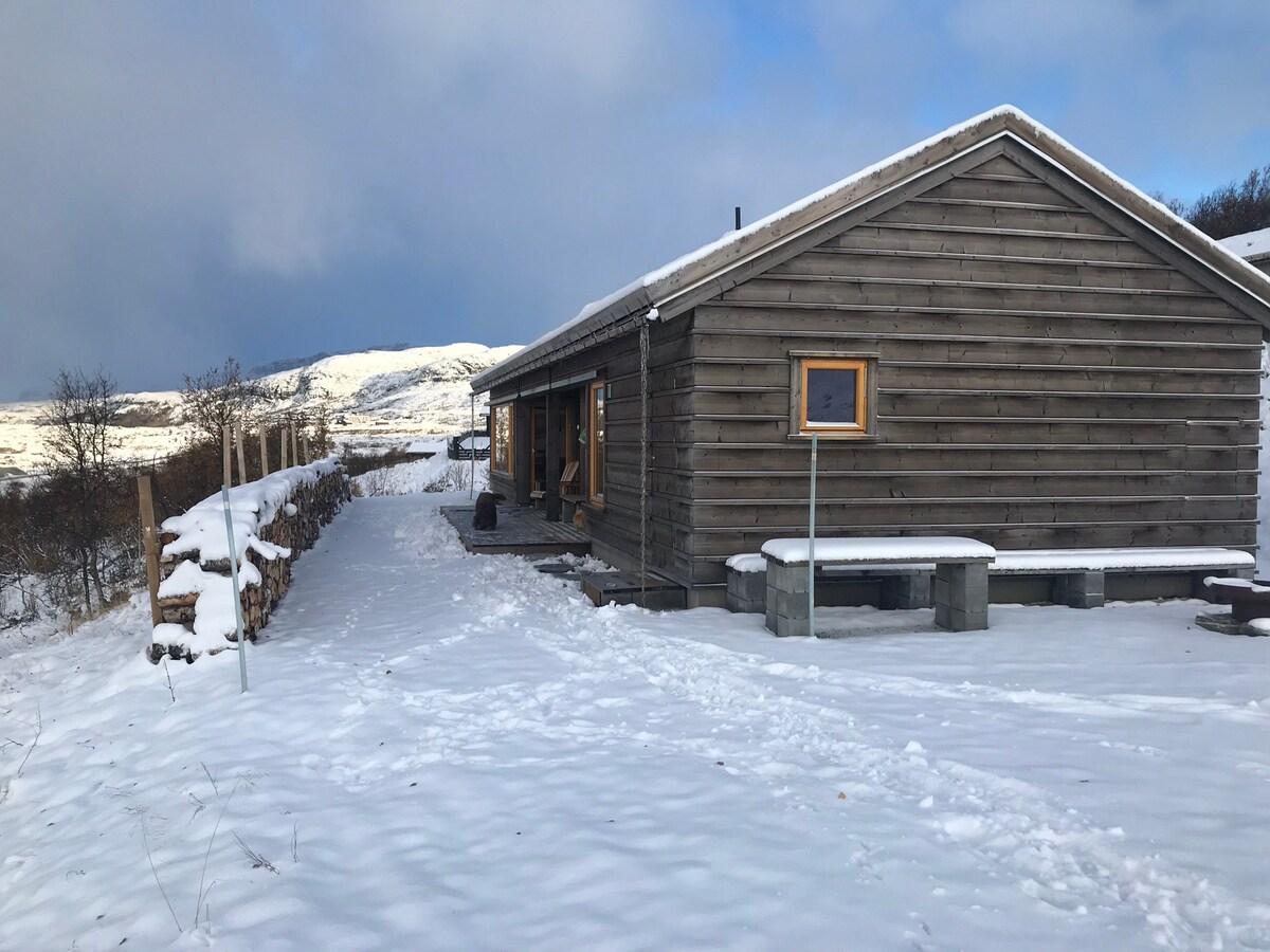 Buskerud/Bergsjø鳗鱼-建筑师设计的小木屋