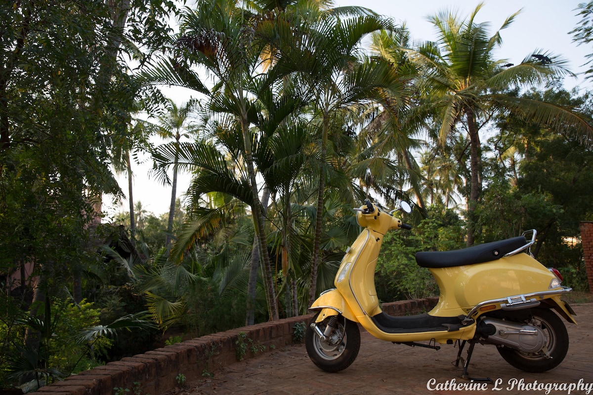 Bodhidharma Garden, blue house, Auroville Beach