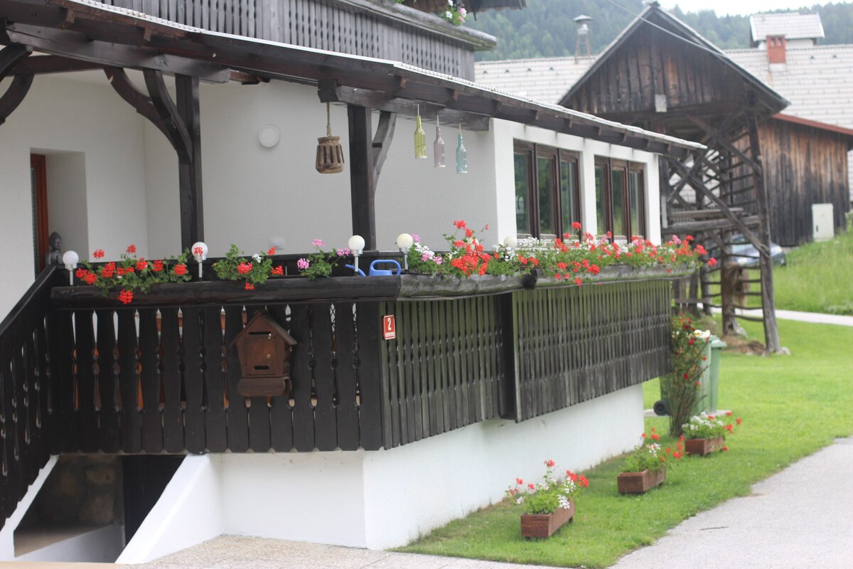 靠近Bohinj湖、Lake Bled和Pokljuka的农舍