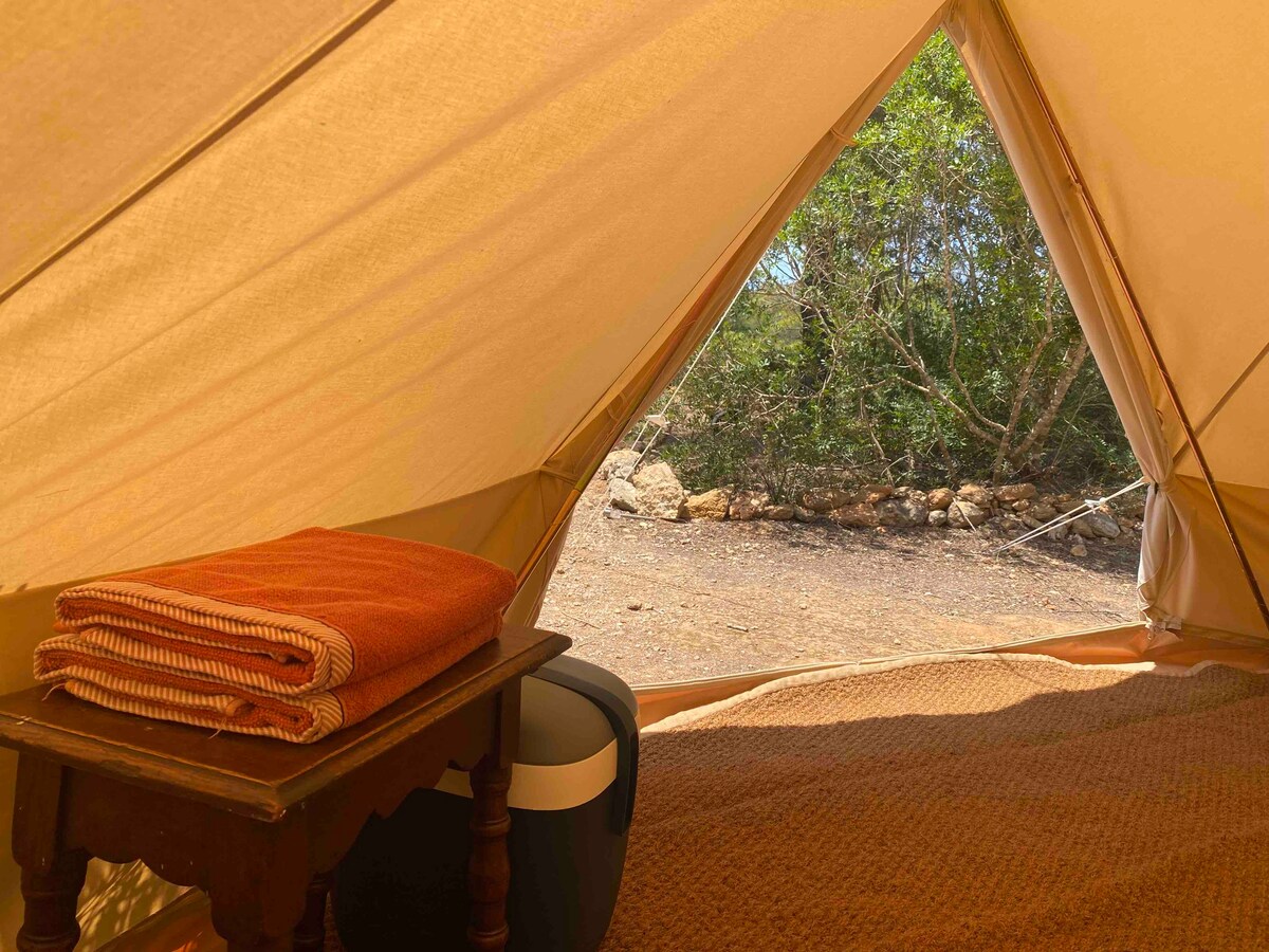 Carpa Del Pinar Glamping Retreat