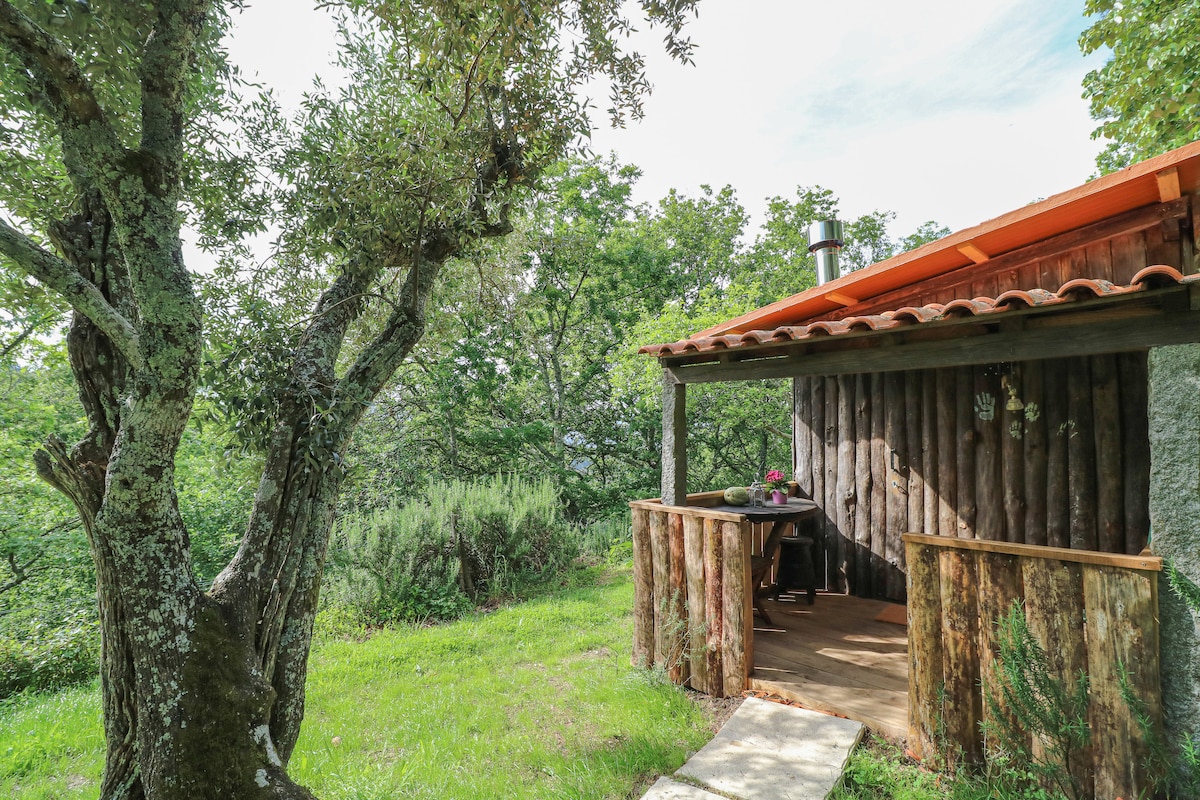 Cabana da Oliveira na Quinta do Castro