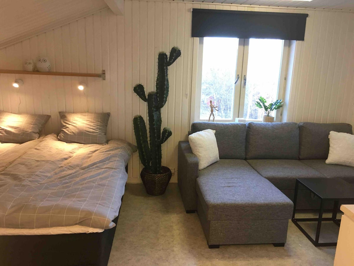 Östersund附近的舒适单间公寓，适合3人入住