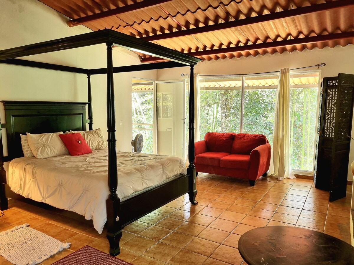 Harpy Eagle Room in
Treehouse