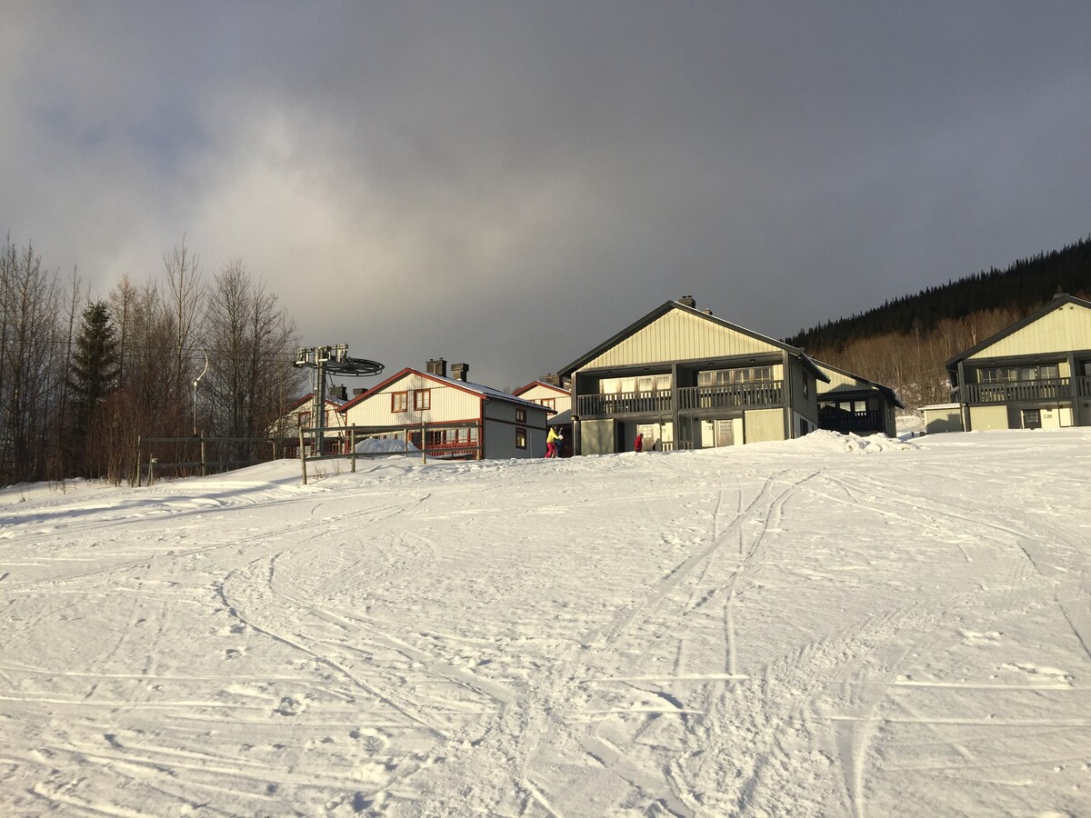 适合家庭滑雪的滑雪之旅