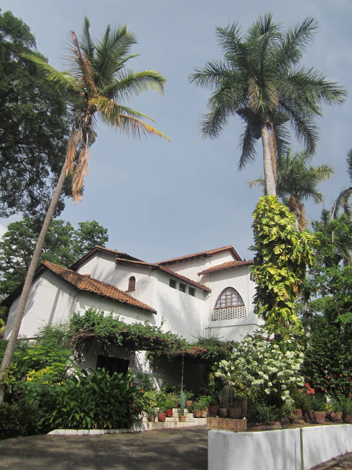 Urban Garden Villa in Nicaragua (fully staffed)