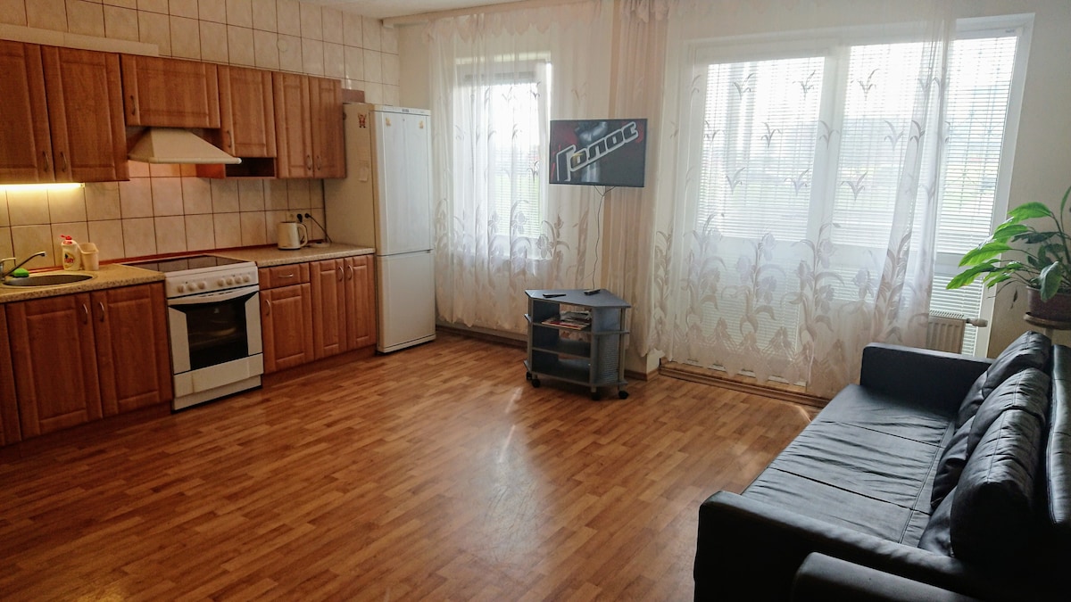 Vilnius 1的舒适公寓租赁
