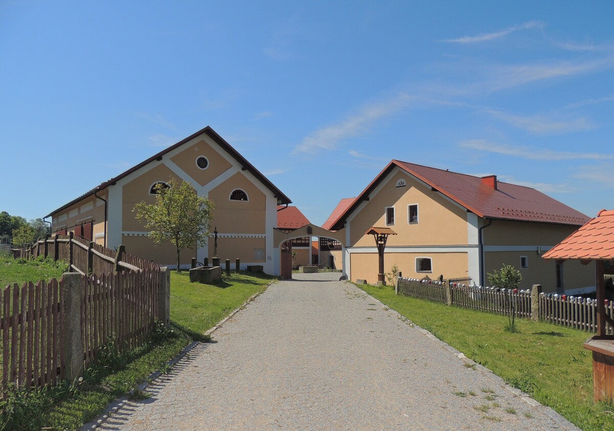 Farmhouse Selský Dvër - 3号房间