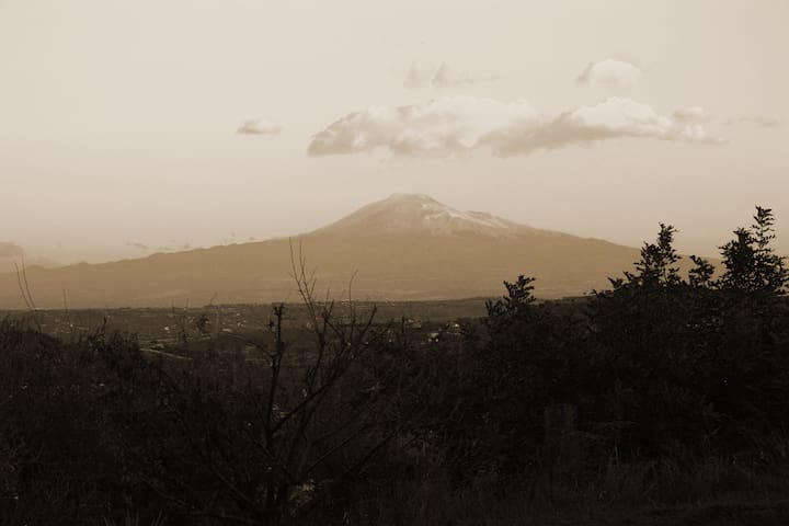 Carlentini between Catania and Syracuse的民宿