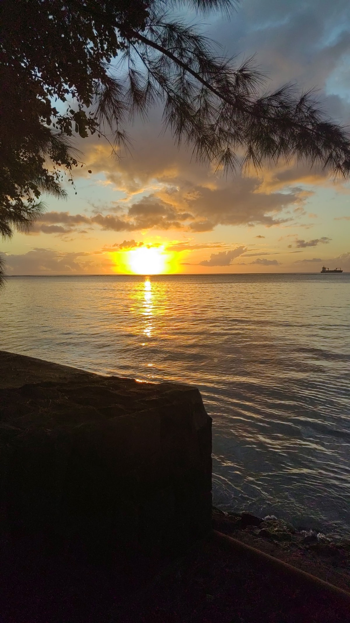 "Ocean Bliss: Beachfront Studio in Mauritius"