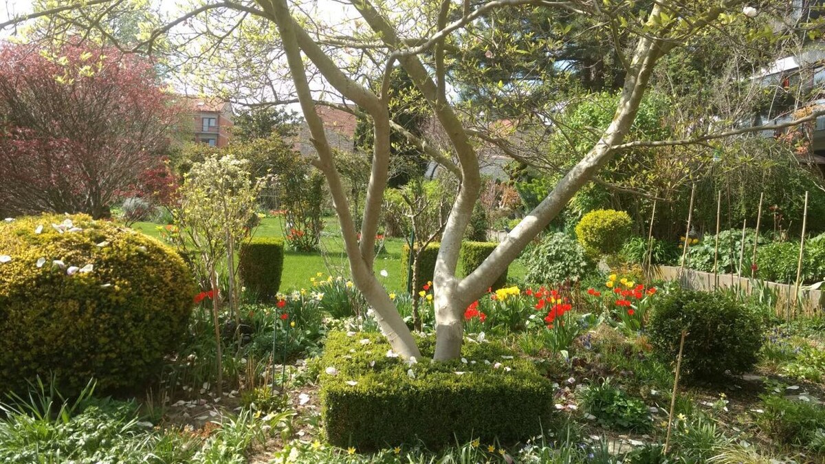 Ferienwohnung Gwenlyns 'Garten公寓Hepatica