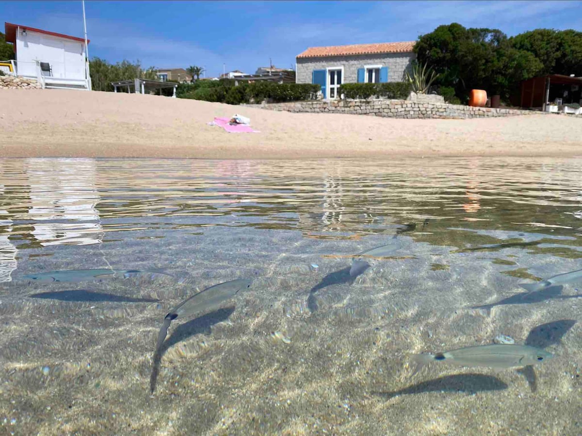 Santa Teresa Gallura Capo Testa  sulla spiaggia