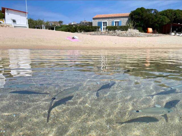 Santa Teresa Gallura 的民宿