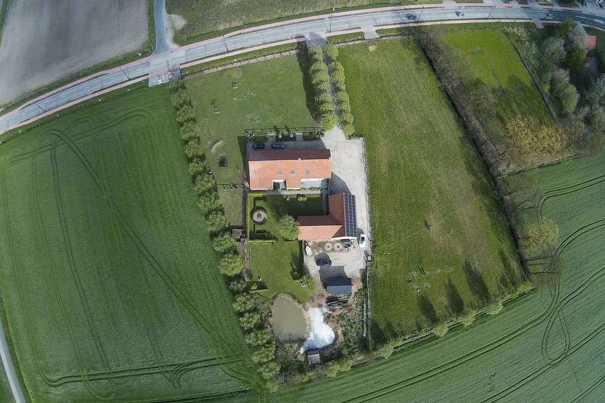 Modern Home in Geel with Sauna