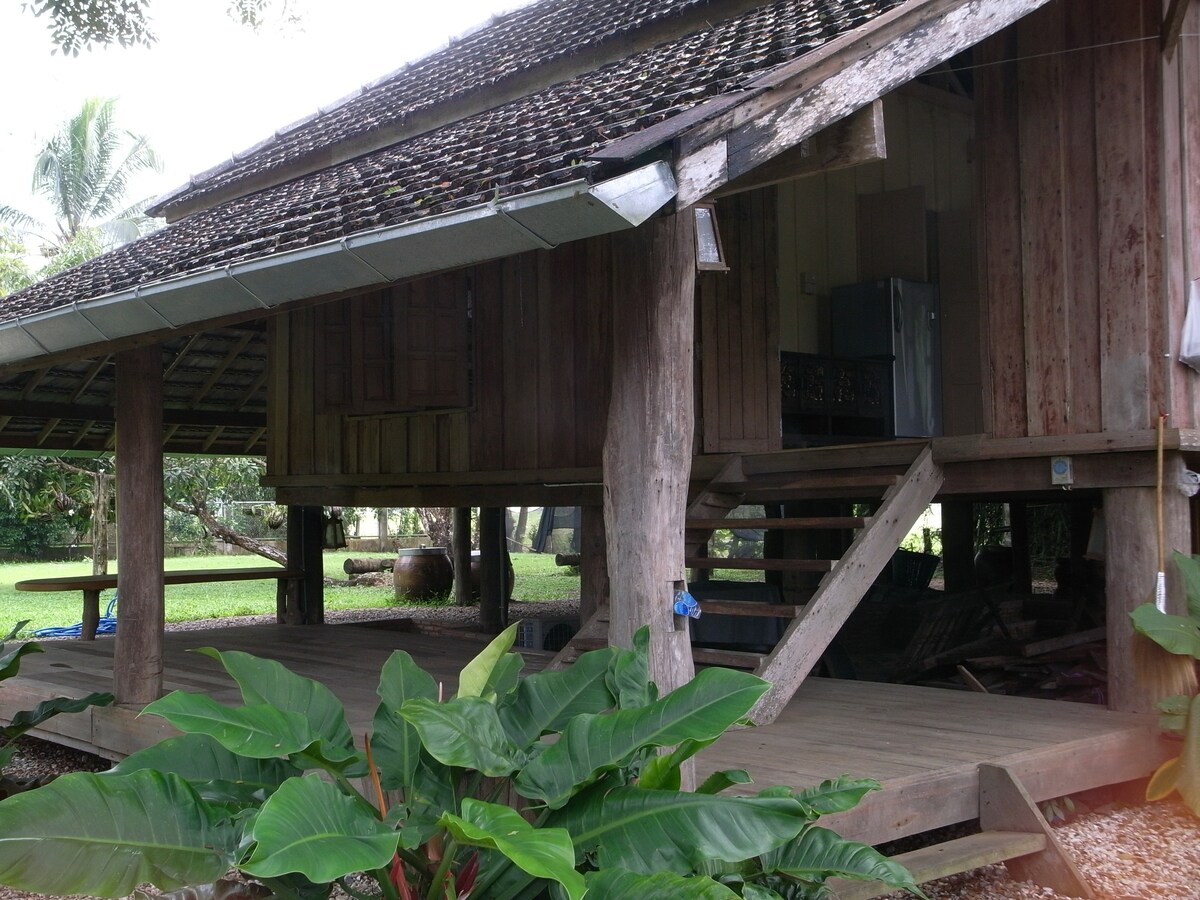 当地村庄的木屋