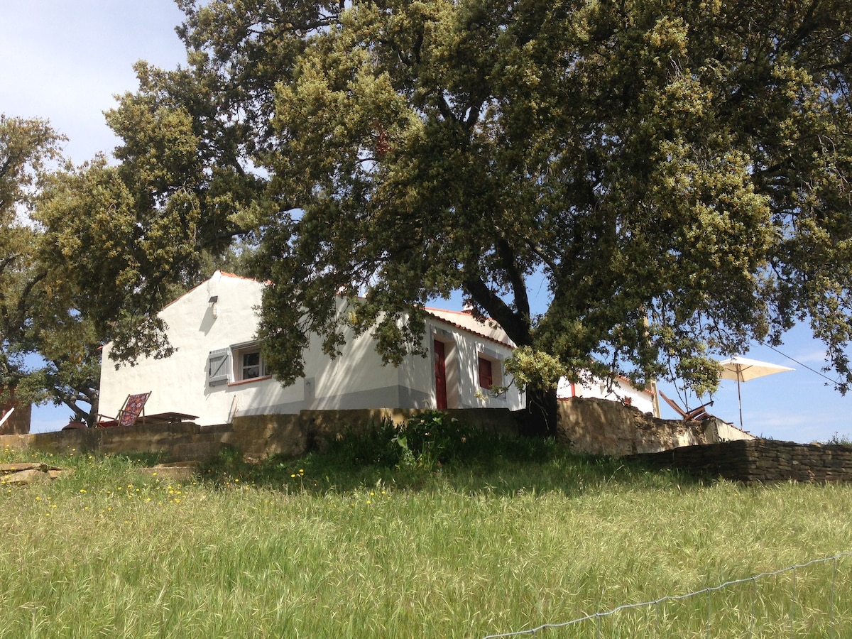 The Real Portugal - Casa do Pão