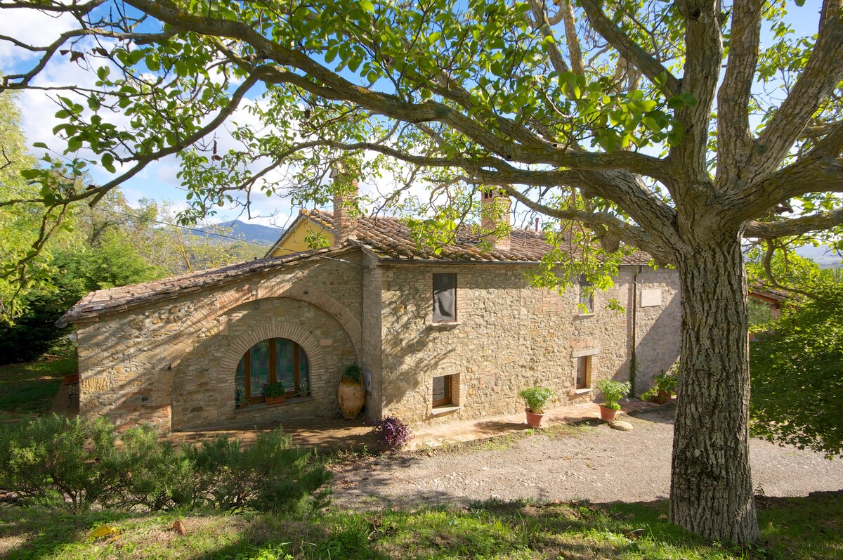 Ancient villa from 1700s with swimming pool