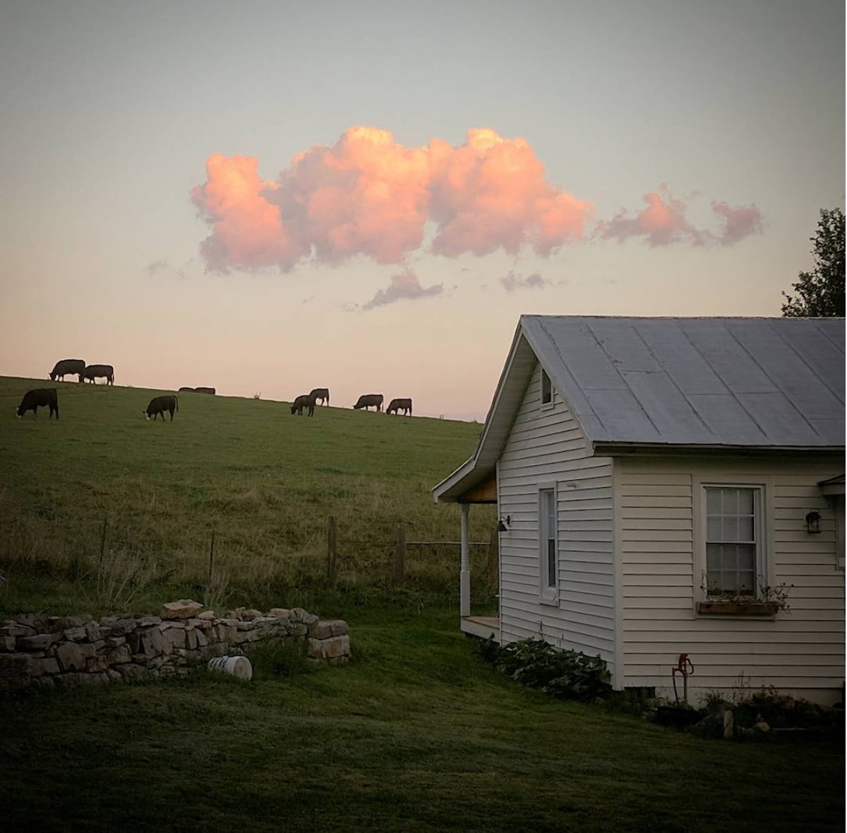 The Spring House at Thistle Hollow