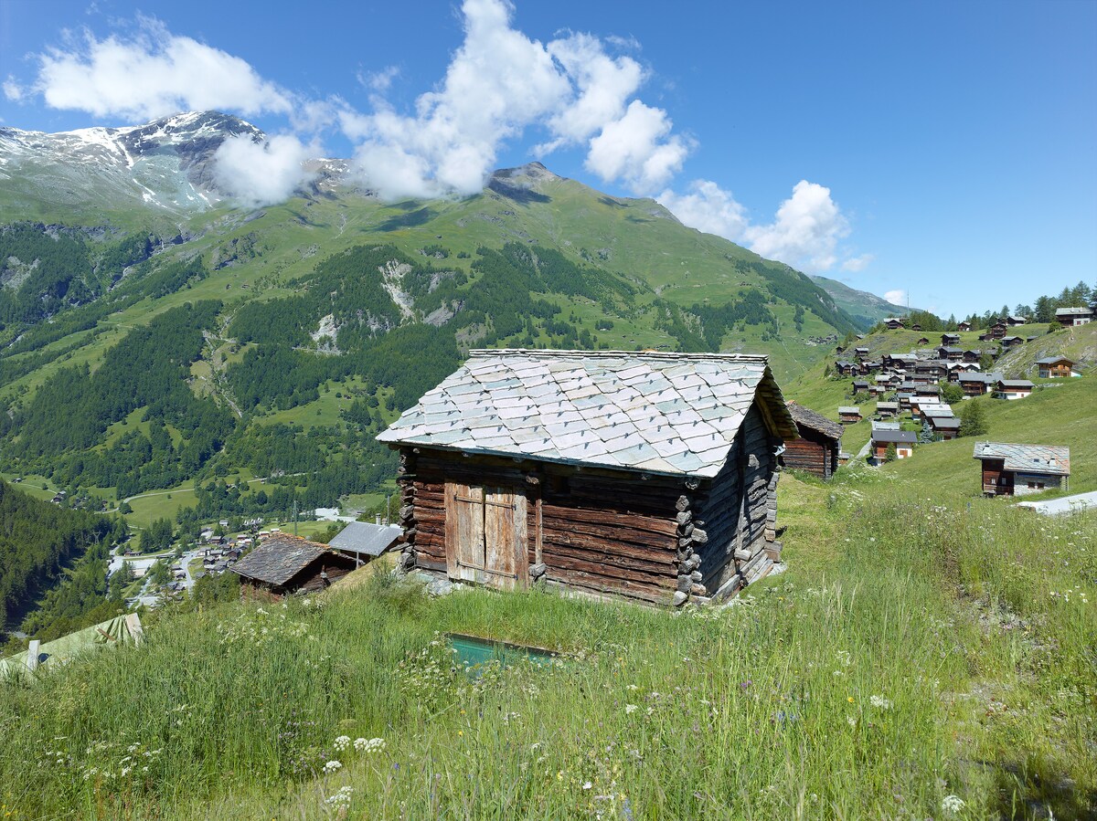 mayen Val d 'Herens en Valais - Sion