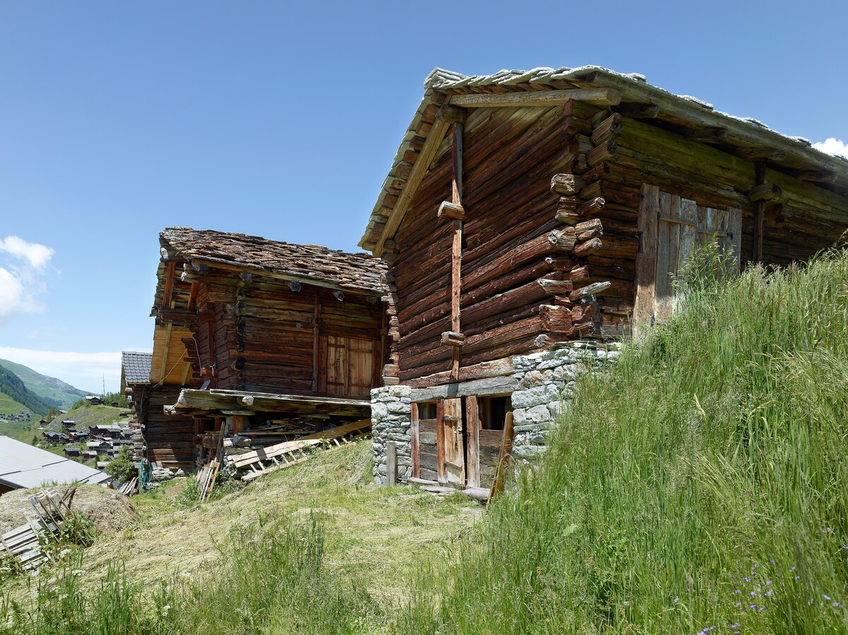 mayen Val d 'Herens en Valais - Sion