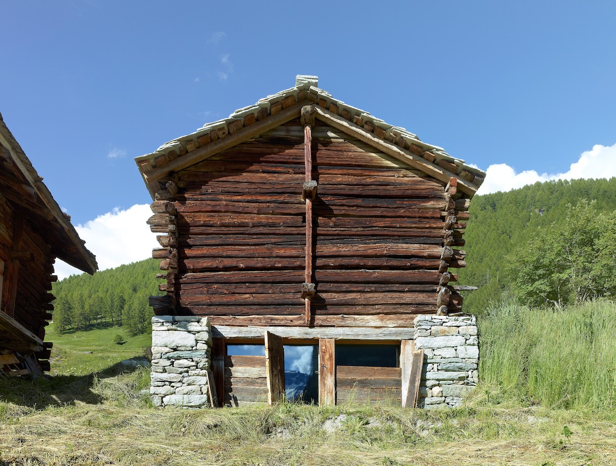 mayen Val d 'Herens en Valais - Sion