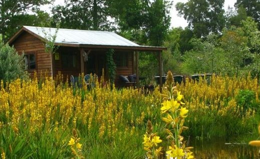 梨树小屋花园、池塘和山景