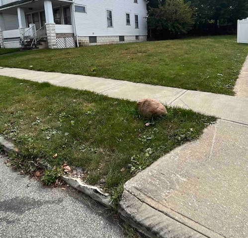 克利夫兰（Cleveland）的民宿