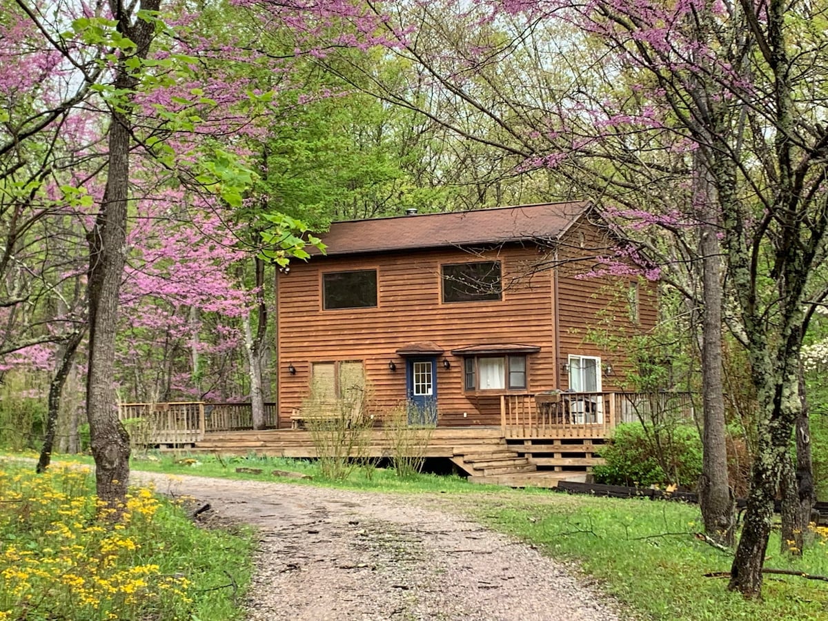 萤火虫小木屋，森林度假胜地