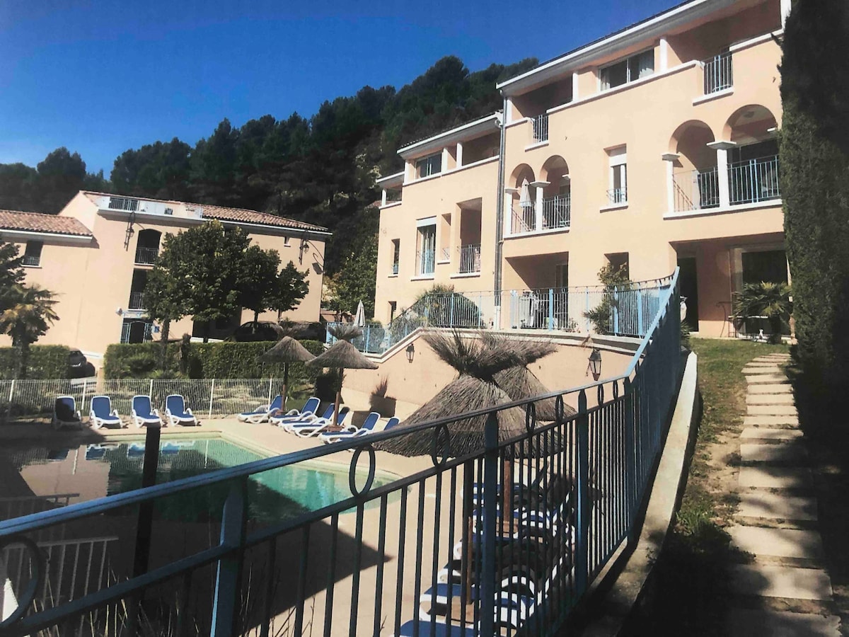 位于普罗旺斯宏伟的单间公寓，有空调， 4星级泳池