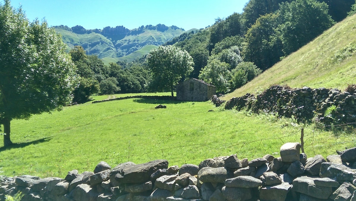 PiDREAM CoTTage. Cabaas de Pisueña