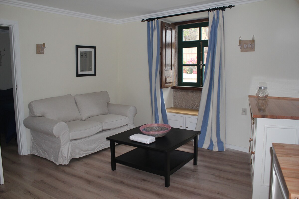 Apartment in the heart of the Douro