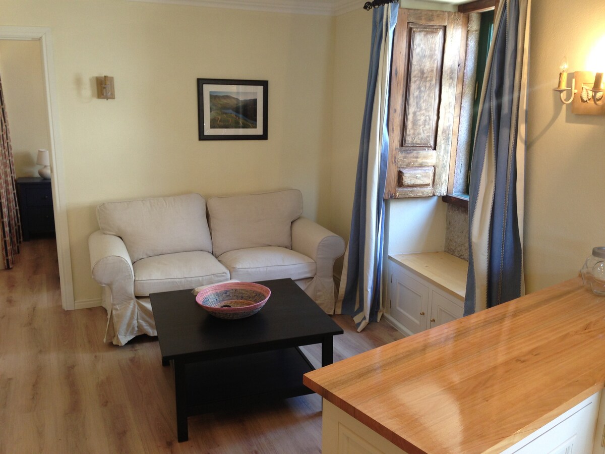 Apartment in the heart of the Douro