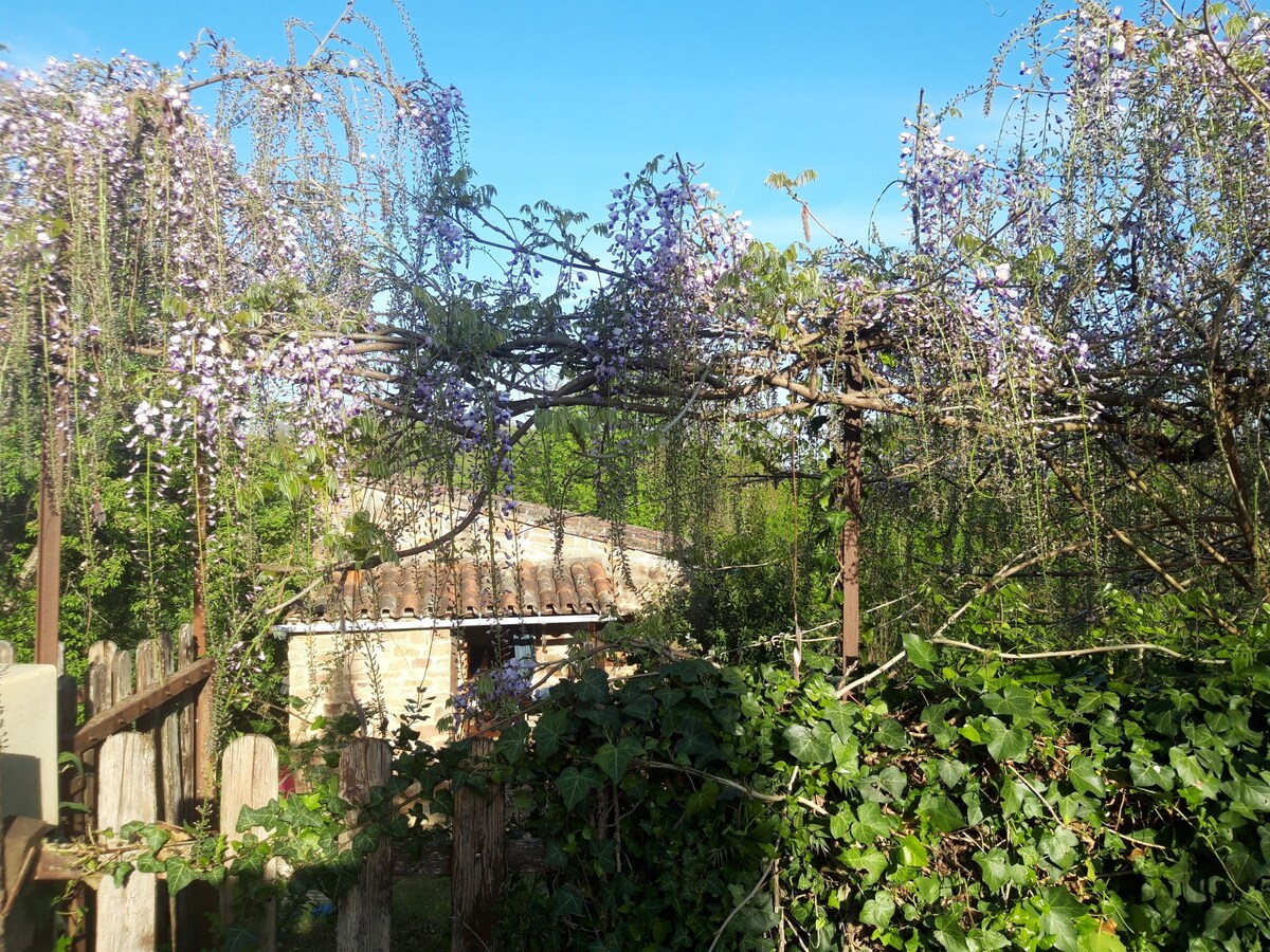Maisonnette/Jardin près de Cordes-sur-Ciel