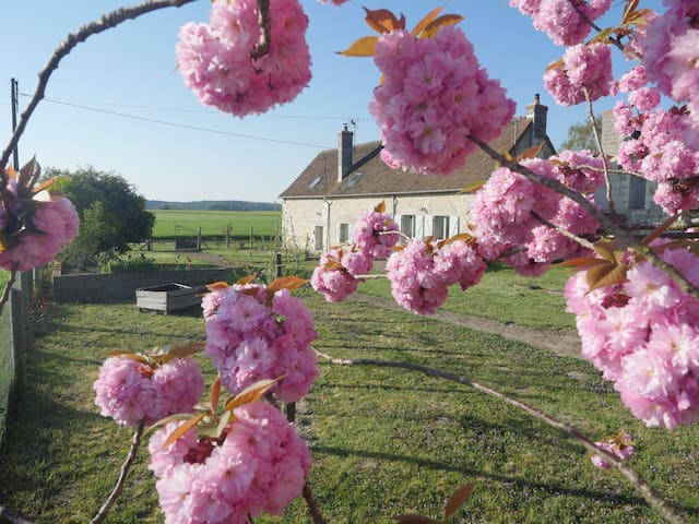 Parçay-les-Pins的民宿