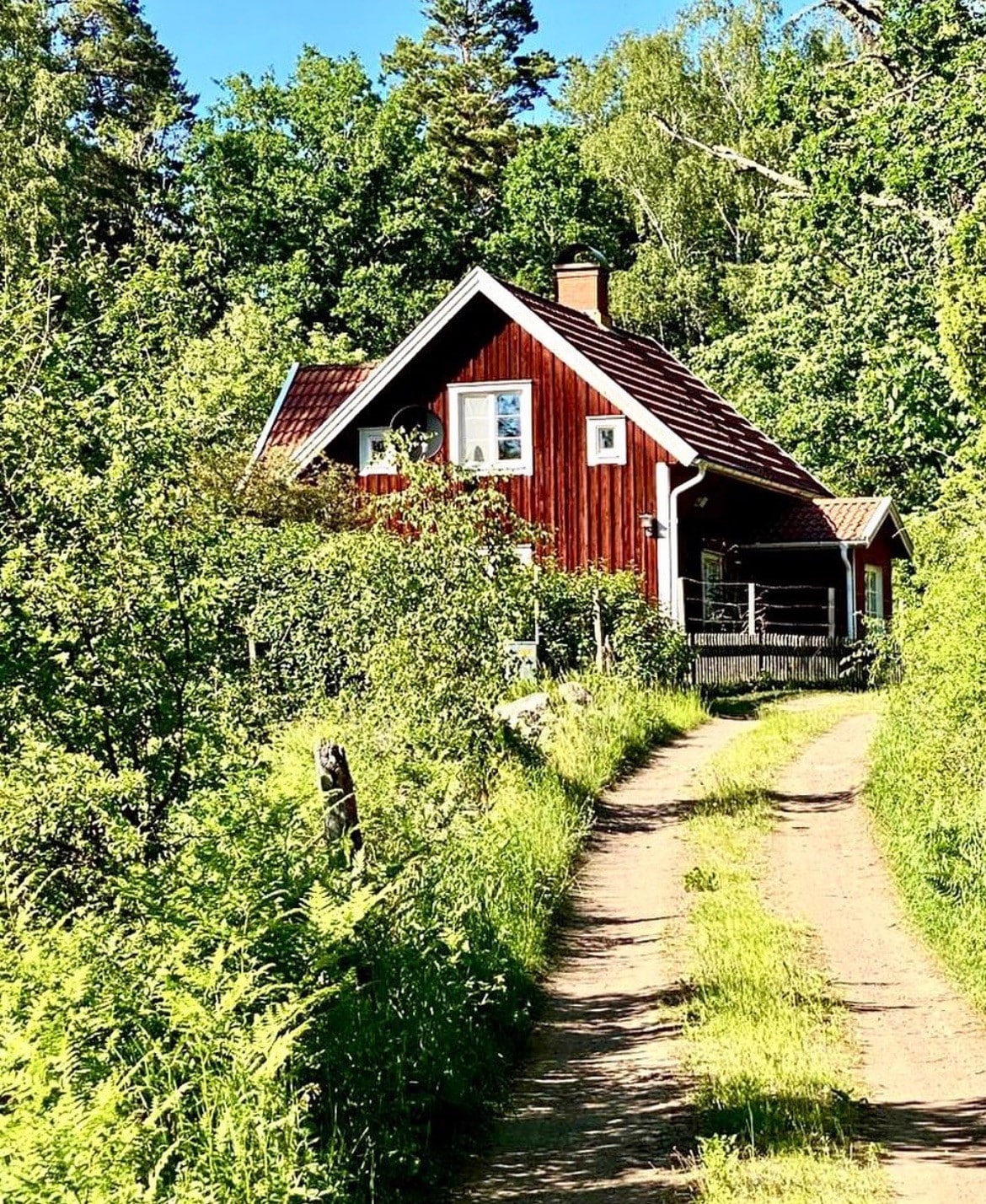 Schwedenhaus in Småland - Im Wald und mittendrin