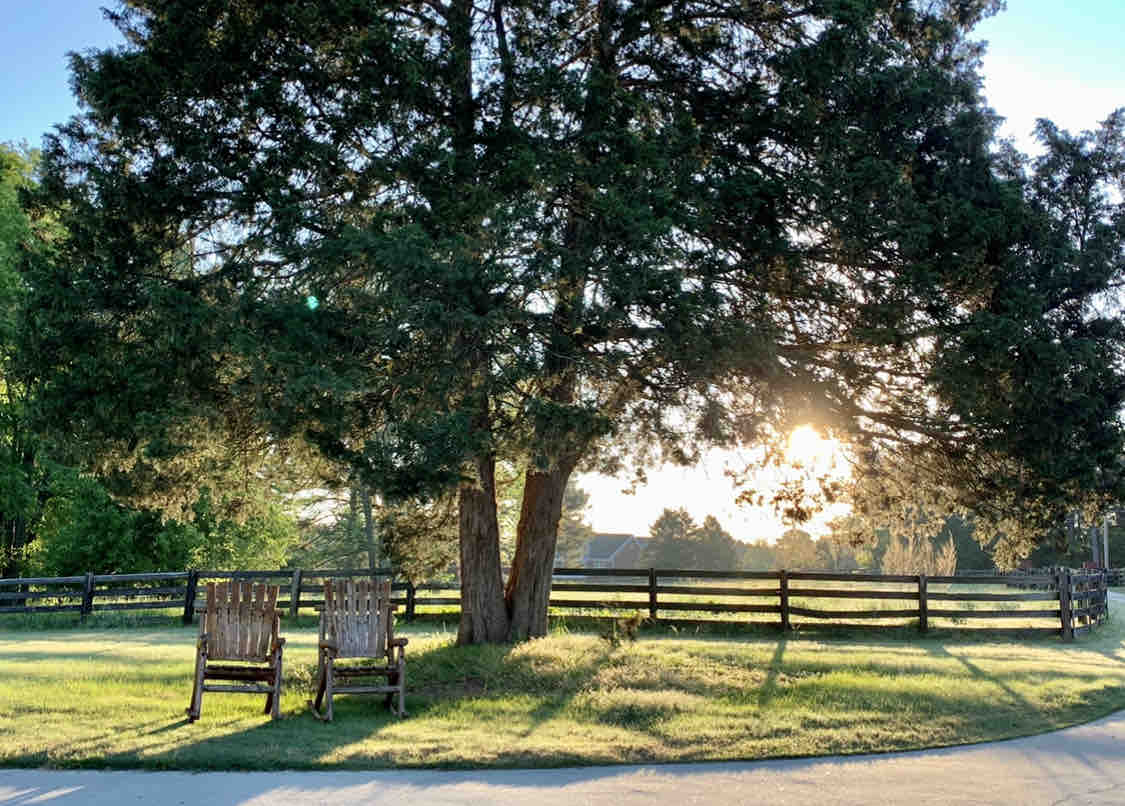 Regal Ranch Retreat * Dog & Horse Friendly *