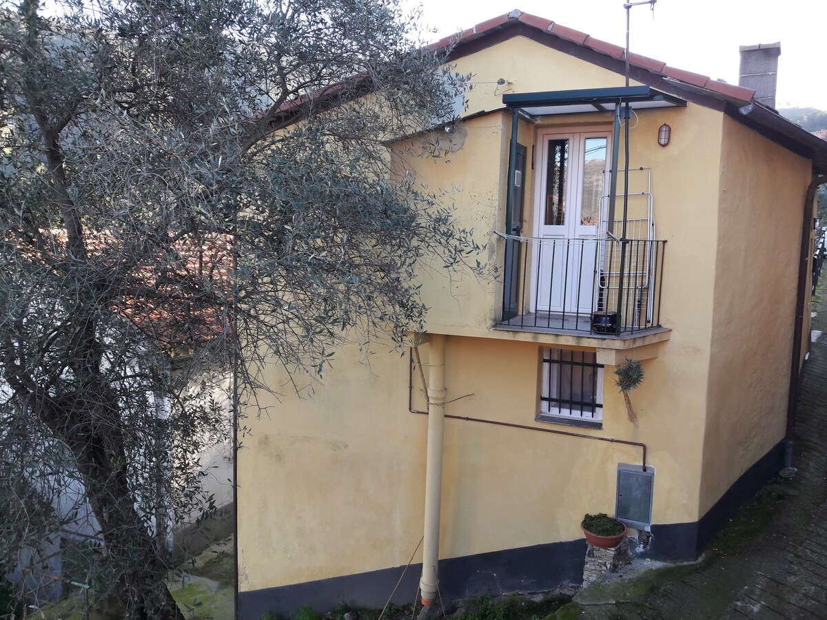 Gemma的房子，位于丰托纳（ Fontona ） ，距离莱万托（ Levanto ） 3公里