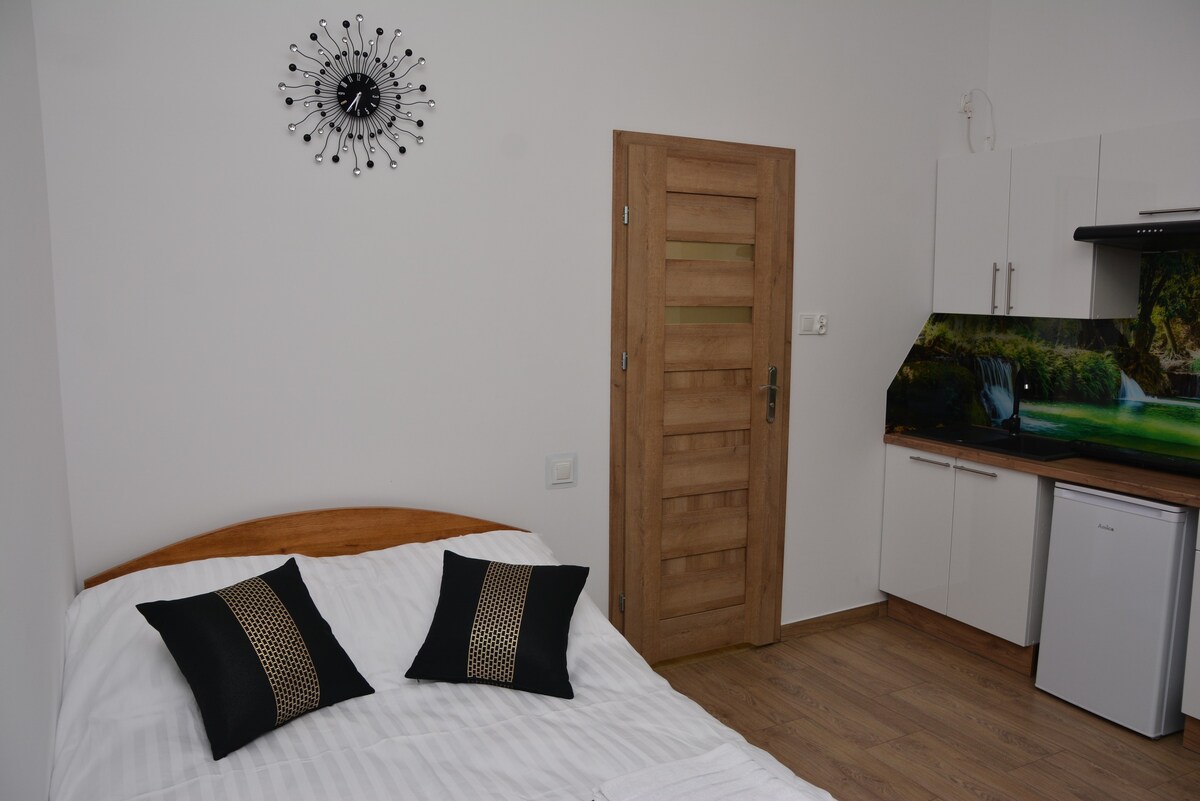 Apartament Mikołaja Kopernika Mini