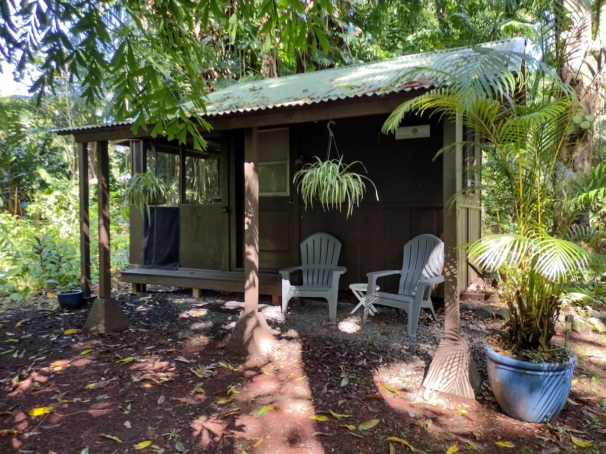 *Private* Jungle Cabin in a Protected Mango Grove