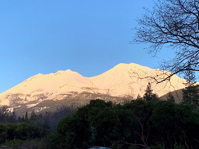 可欣赏沙斯塔山（ Mount Shasta ）美景的开放空间