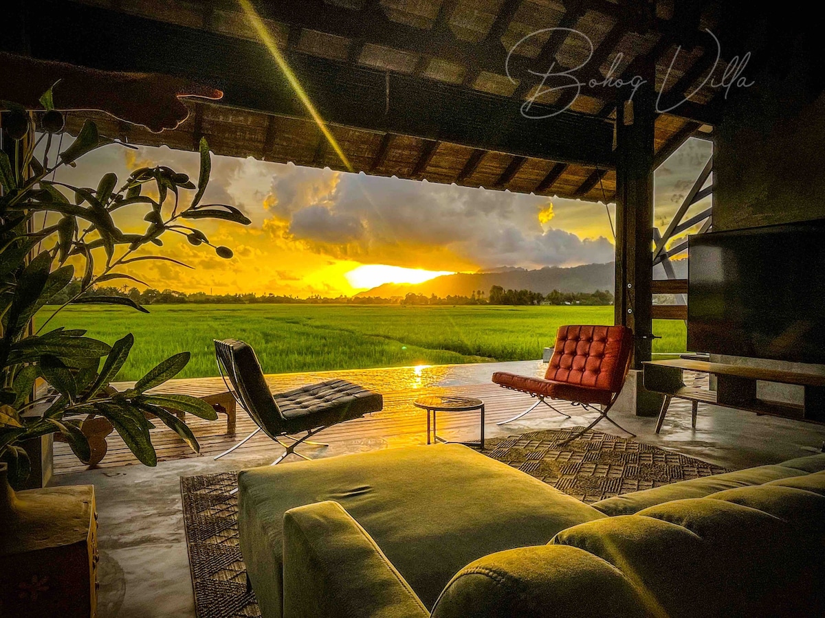 paddy field view villa with private pool